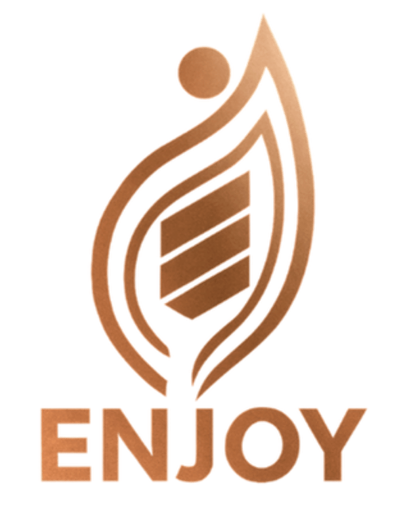 Enjoy Bludenz